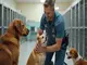 5-faits-a-connaitre-sur-les-animal-protection-services-usa