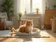 adopter-un-chat-zero-dechet-mode-d-emploi-et-astuces