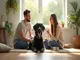 adopter-un-chien-john-wick-caracteristiques-et-conseils