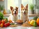 animal-health-nutrition-l-importance-de-l-alimentation-pour-vos-animaux