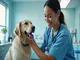 animal-health-technician-une-carriere-au-service-des-animaux