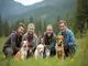 animal-protection-a-ketchikan-acteurs-cles-et-missions