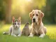 animaux-de-compagnie-dans-mhw-astuces-pour-en-capturer-et-en-soigner