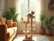arbre-a-chat-quapas-le-guide-pour-faire-plaisir-a-votre-felin