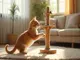 arbre-jeu-chat-pourquoi-c-est-essentiel-pour-stimuler-votre-felin