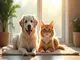 assurance-animaux-de-compagnie-cic-ce-que-vous-devez-savoir