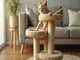 avantages-d-un-arbre-a-chat-en-sisal-pour-vos-felins-actifs