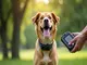 comment-choisir-le-meilleur-traceur-gps-longue-portee-pour-vos-besoins