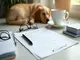 comment-remplir-une-sante-animaux-feuille-de-soins-efficacement