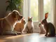 comportement-des-animaux-avant-un-tremblement-de-terre-mythe-ou-phenomene-scientifique