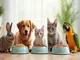 guide-complet-pour-choisir-la-nourriture-des-animaux-domestiques
