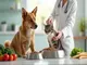 l-importance-de-l-animal-nutrition-en-biologie-comprendre-pour-mieux-nourrir