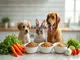 la-liste-depicerie-indispensable-pour-une-alimentation-equilibree-des-animaux