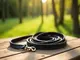 laisse-pour-chien-zolux-un-accessoire-indispensable-pour-vos-promenades