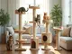 les-meilleurs-modeles-d-arbres-a-chat-pour-les-maine-coons