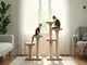 les-meilleurs-modeles-d-arbres-chat-double-pour-votre-interieur