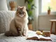 les-secrets-du-chat-sibrien-caractere-soins-et-histoire