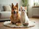 limportance-de-la-nutrition-animale-la-verite-en-photos
