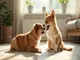 magazine-comportement-animal-les-cles-pour-mieux-comprendre-nos-amis-a-quatre-pattes