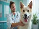 medical-animal-services-des-soins-specialises-pour-vos-animaux