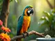 perroquet-zebre-soins-alimentation-et-comportements-fascinants
