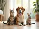 protection-animale-definition-et-enjeux-pour-un-avenir-meilleur