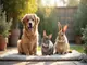 protection-animale-en-allemagne-les-lois-et-initiatives-phares