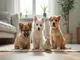 quels-sont-les-animaux-de-compagnie-les-plus-communs-en-france