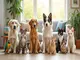top-10-des-animaux-de-compagnie-les-plus-celebres-dans-les-films