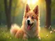 tout-savoir-sur-le-chien-kopov-caractere-dressage-et-sante