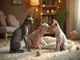 tout-savoir-sur-les-animaux-de-compagnie-sans-poil-races-et-caracteristiques