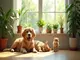 tout-savoir-sur-les-soins-des-animaux-par-les-plantes-et-leurs-bienfaits