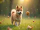 tout-sur-le-chien-chinois-histoire-caracteristiques-et-conseils
