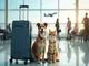 voyager-avec-westjet-et-vos-animaux-de-compagnie-tout-ce-qu-il-faut-savoir